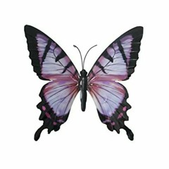 Butterflies4her | indie rock instrumental
