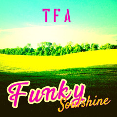 Funky Soulshine (Remix 2026)