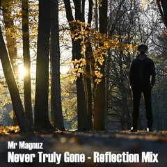 Never Truly Gone (Reflection Mix)