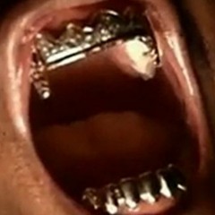 OL' DIRTY BASTARD BROOKLYN ZOO REMIX (VETO MEGA)