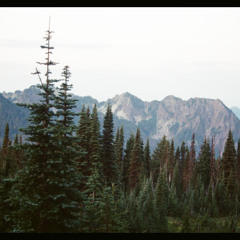 11. NollieHeel (Remastered)