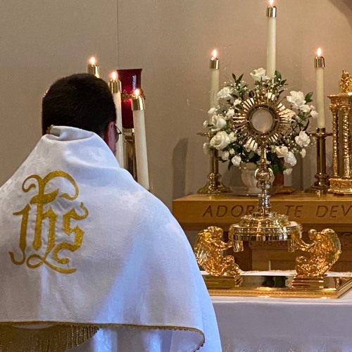 Corpus Christi Homily 2021 - Fr. Anthony Mary, MFVA - SoundCloud
