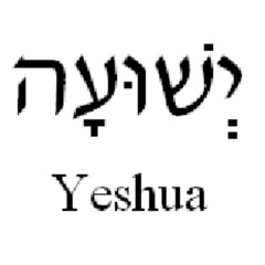 David Mateo- Romans 11:27