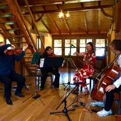 Hawthorn's Ribs And Prose - LIVE Icon Arts 2024