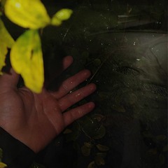 Try To See