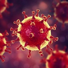 SET DE CUARENTENA! 2020