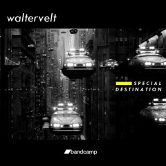 Waltervelt - Special Destination (Original Mix)
