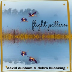 Flight Pattern Bound For The USA #3758