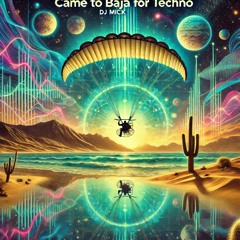 Came To Baja For Techno