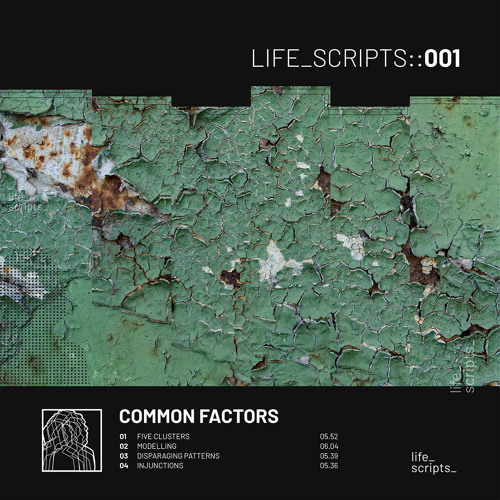 PREMIERE: Common Factors - Modelling [Life Scripts]