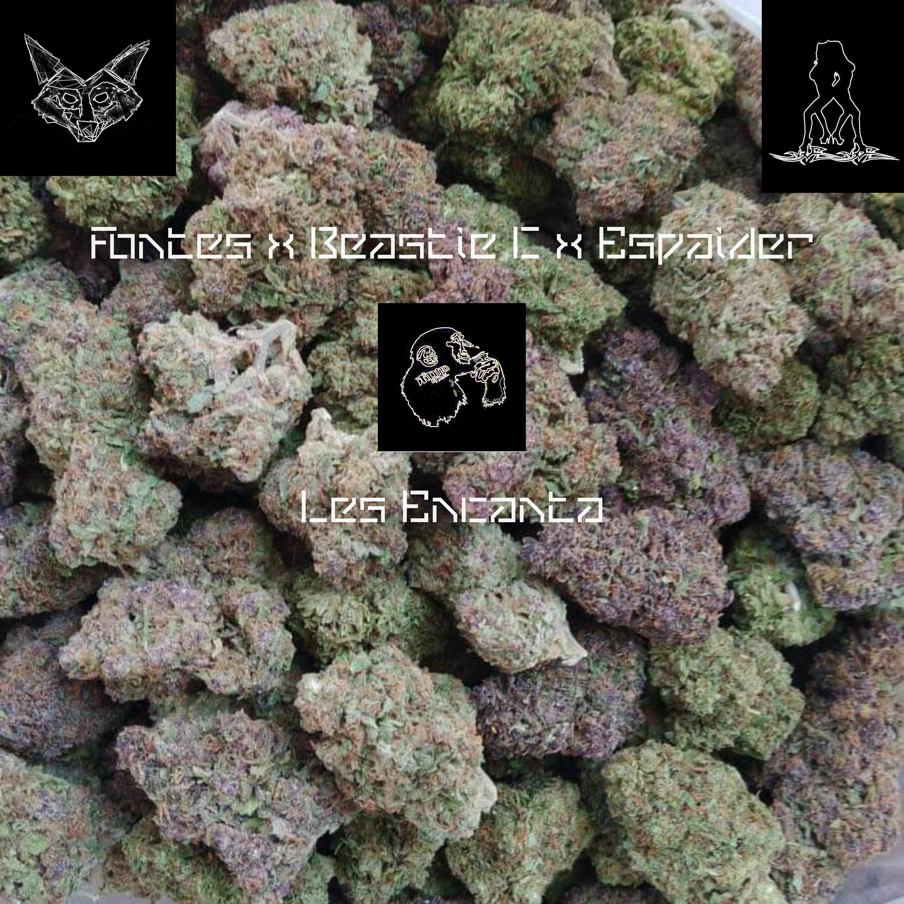 fontes dahl x Beastie C x Espaider - Les Encanta episode artwork