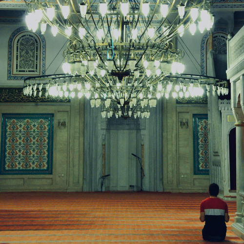 سورة فصلت - من تهجد رمضان 1444