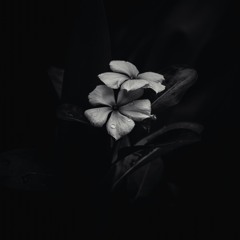Cold Soul