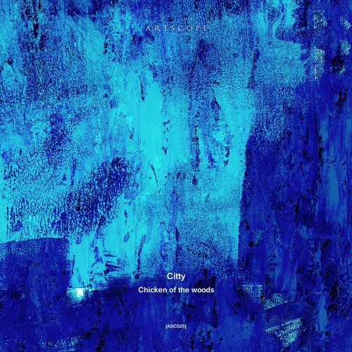 PREMIERE: Citty - Far From Here [Artscope]