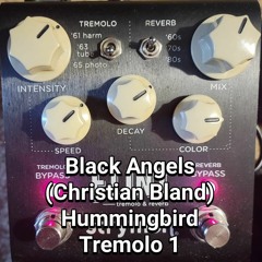 Strymon Flint - Black Angels (Christian Bland) Hummingbird Tremolo 1