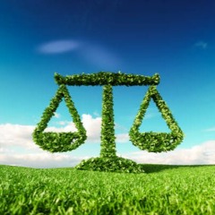 Environmental Justice (Prod. DJ Money Trees - Feat. ElectriCar, Trippie Green)