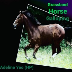 Grassland Horse Galloping - Adeline Yeo
