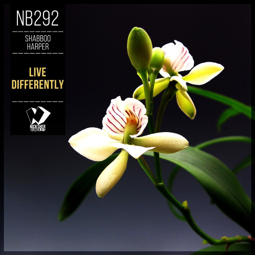 Shabboo Harper - Live Differently (Original Mix)