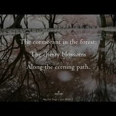Cormorants and blossoms of the evening [naviarhaiku 539]