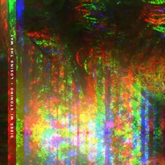 Sides w/ T.Bosco - Losing The Way