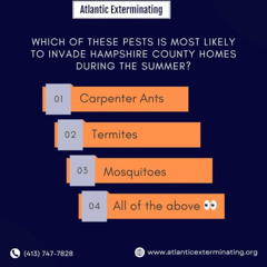Which of these pests is most likely to invade Hampshire County homes during the summer