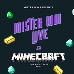 Mister WW: MINECRAFT Virtual Set