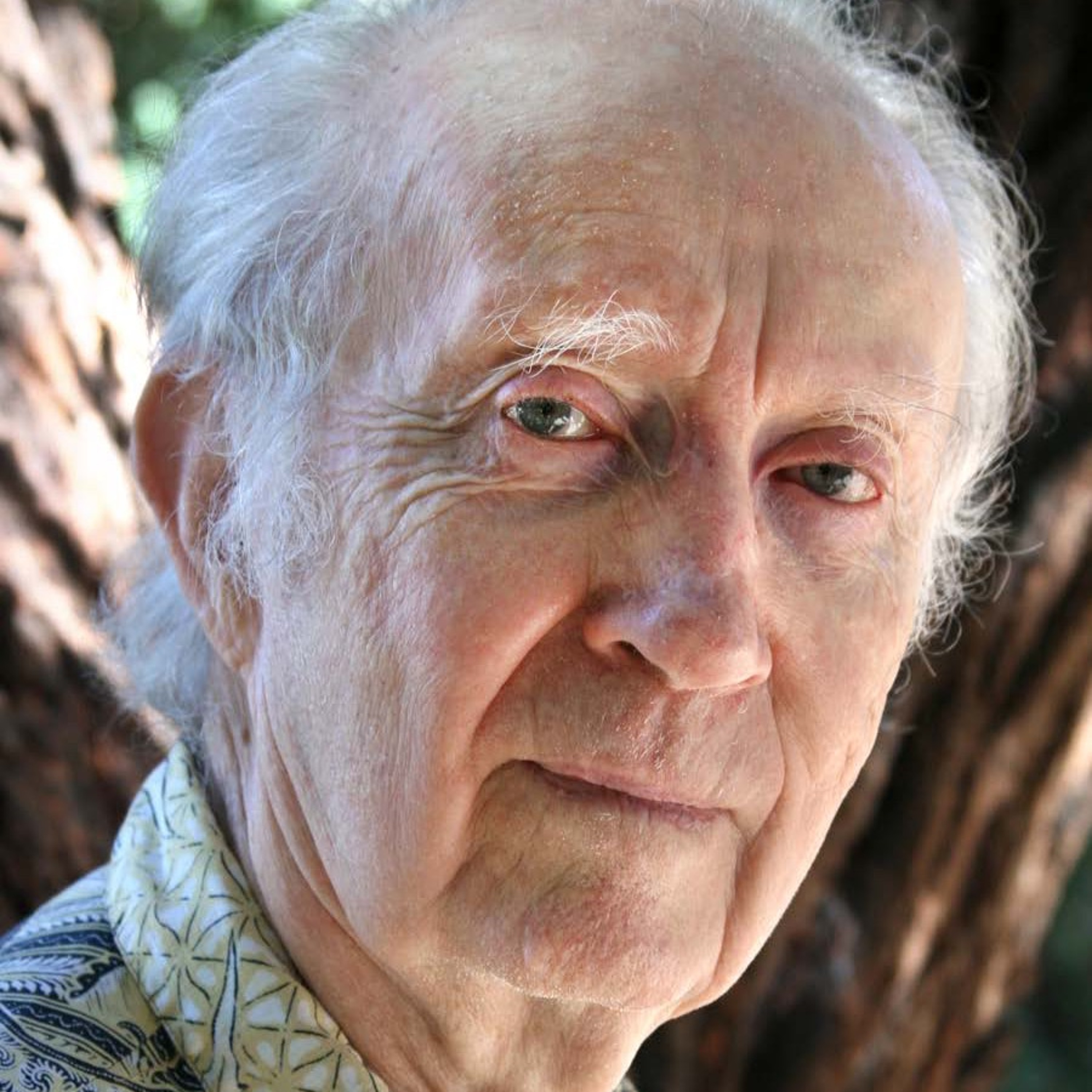 John Cobb Jr. on Breaking it Down with Frank MacKay - The Living Earth Movement