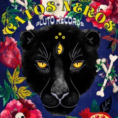 Gatos Neros - Ntelia The Beginning