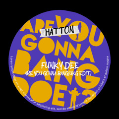 FUNKY DEE-ARE YOU GONNA BANG(HATTON UKG EDIT)