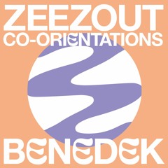 ZeeZout Co-Orientations 4 by Benedek