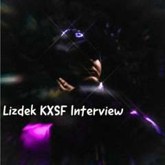 An Interview with Lizdek
