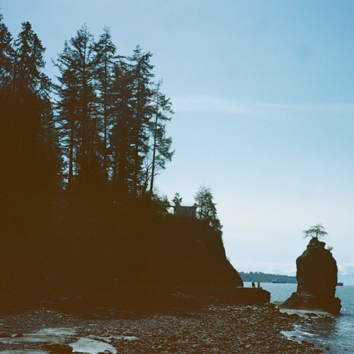 S38: Short Cuts: Lost 5/6