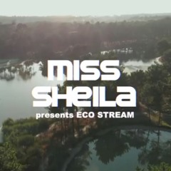 DIGITAL WAVES RADIO SHOW #293 "ECO STREAM# Pt2 - 27/08/20