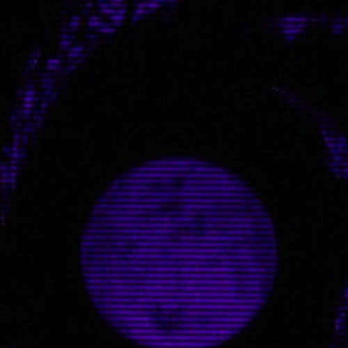 Teo - Sepulturas e Sombras