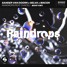 Sander van Doorn x Selva x Macon - Raindrops (Markop Remix)