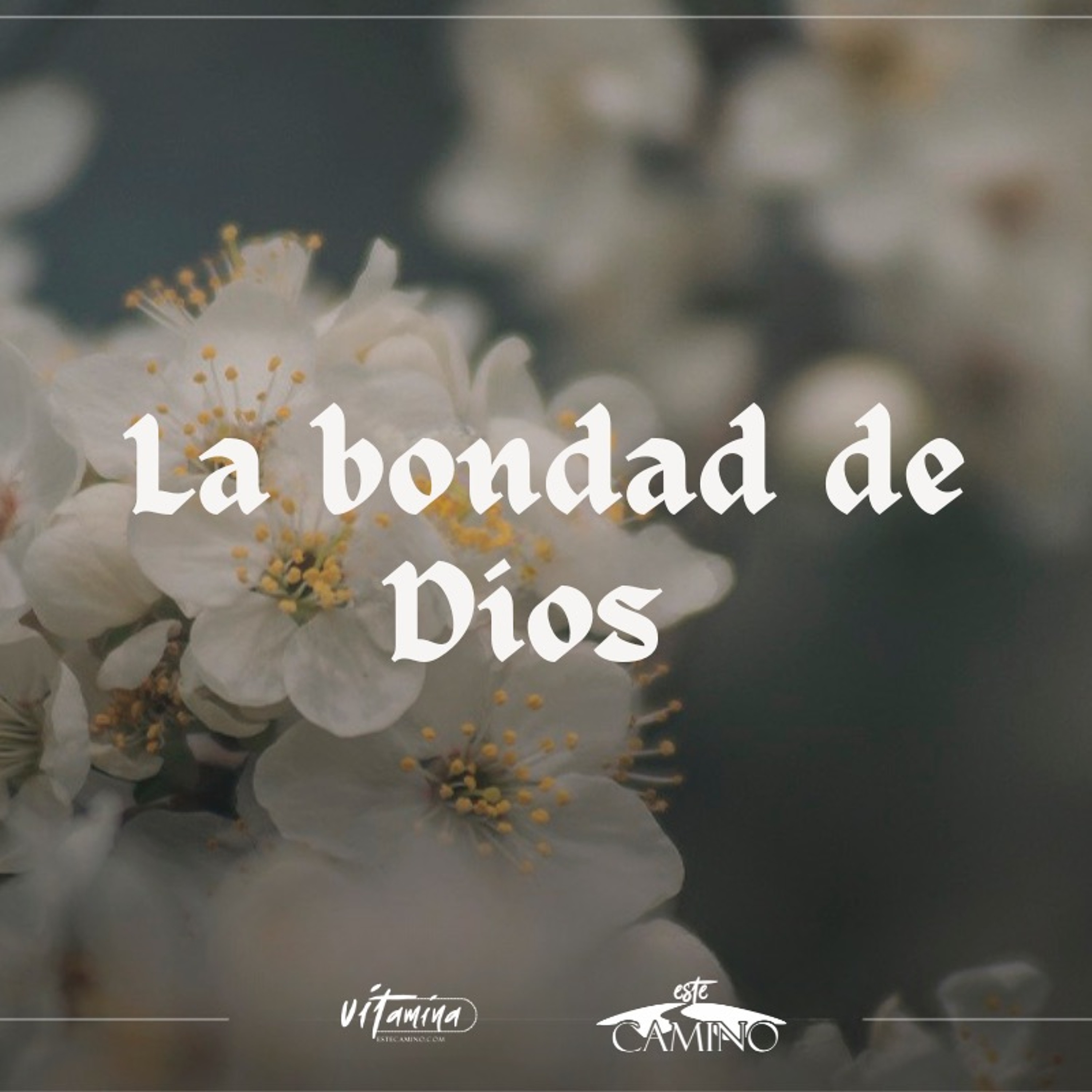 La bondad de Dios, Carmen Gloria episode artwork