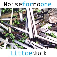 Littoe Duck