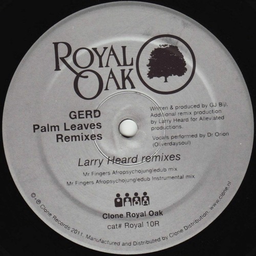 Palm Leaves [Mr.Fingers Afropsychojungledub remix]