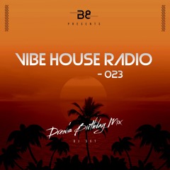 Vibe House Radio 023 - Drew's Birthday Mix