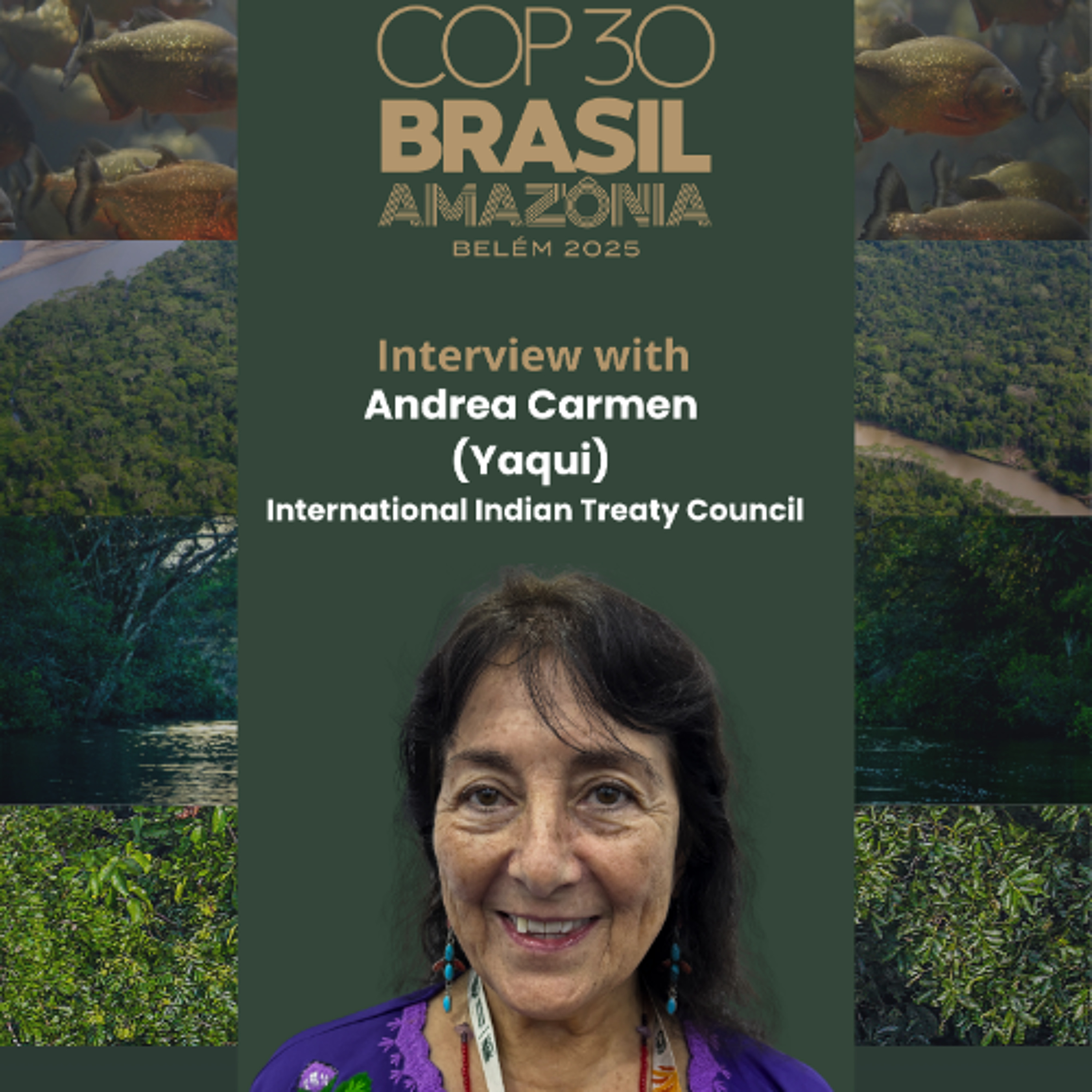 COP30 - A Just Transition Or Business As Usual? - Andrea Carmen