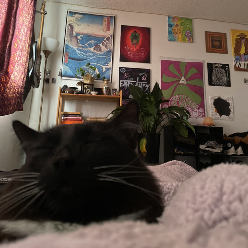 lumpsum