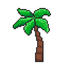 Palm trees