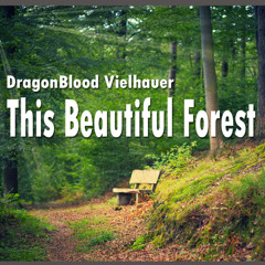 This Beautiful Forest