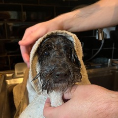 Siblah w/ Slimy Ape - Subtle Radio - 19/08/2024