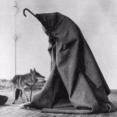 Coyote VIP
