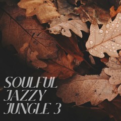 Soulful jazzy jungle dnb mix 3 (Autumn Leaves A) 164 BPM