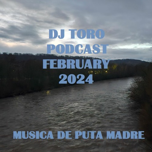 DJ TORO - PODCAST FEBRUARY #02 (2024)