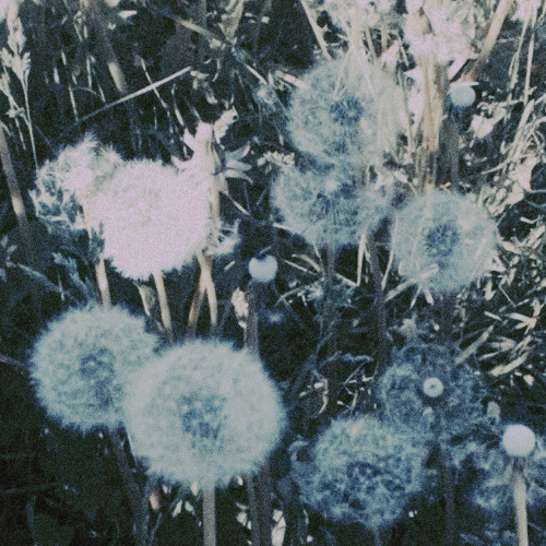 Sleep (Feat. Reni Hunt)