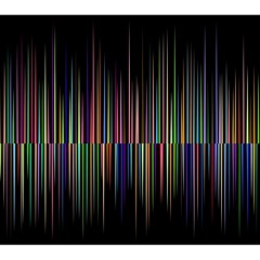 Auditory System
