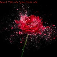 Don't Tell Me You Miss Me